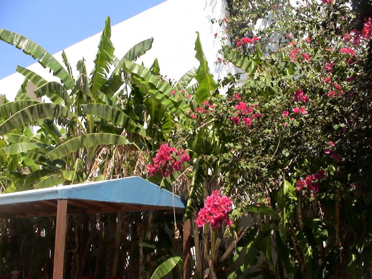 Sea Breeze 2 Apartments มัสติคารี ภายนอก รูปภาพ