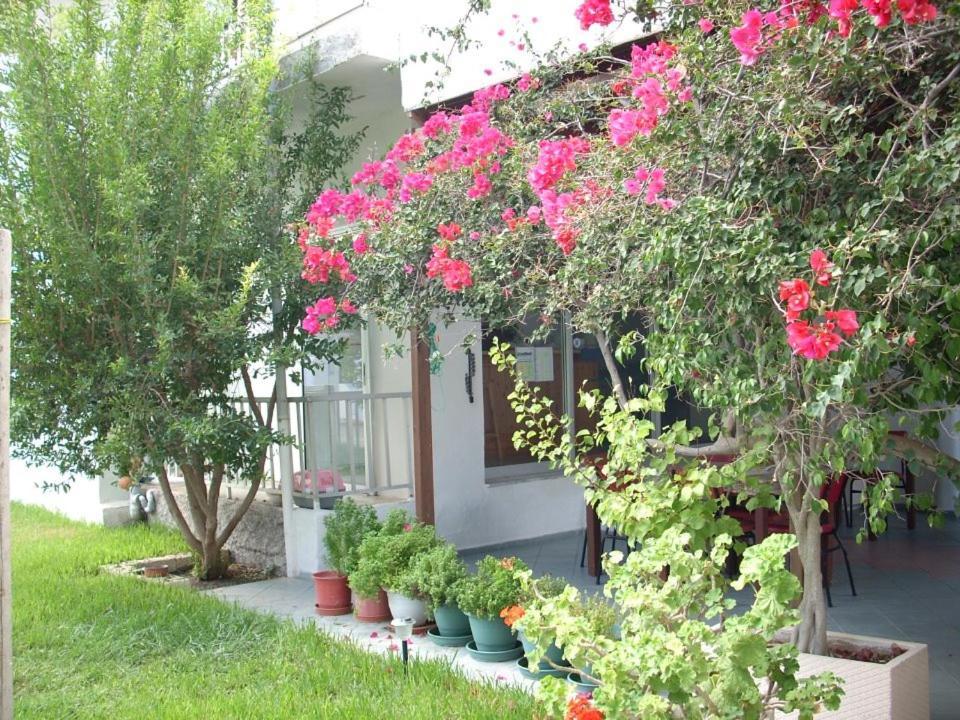 Sea Breeze 2 Apartments มัสติคารี ภายนอก รูปภาพ