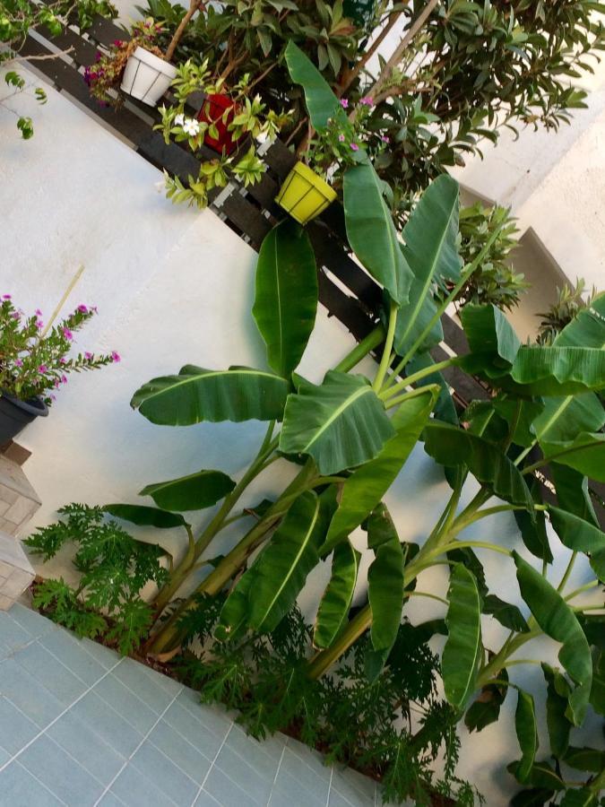 Sea Breeze 2 Apartments มัสติคารี ภายนอก รูปภาพ